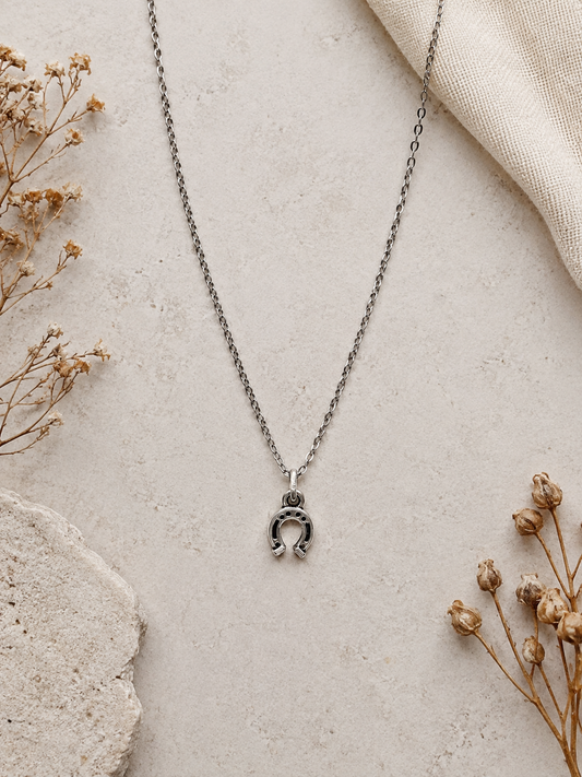 Horseshoe Necklace